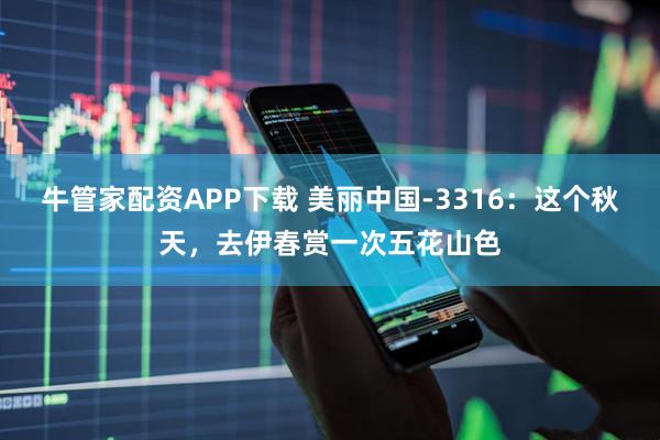 牛管家配资APP下载 美丽中国-3316：这个秋天，去伊春赏一次五花山色