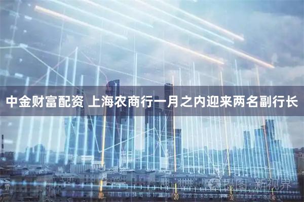 中金财富配资 上海农商行一月之内迎来两名副行长